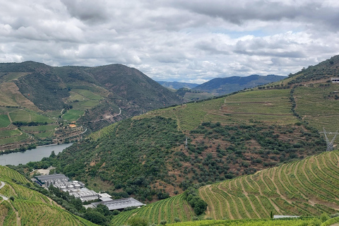 Douro Valley: Private Wine Tour with Lunch