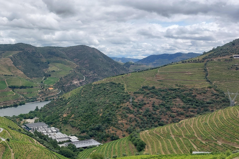 Douro Valley: Private Wine Tour with Lunch