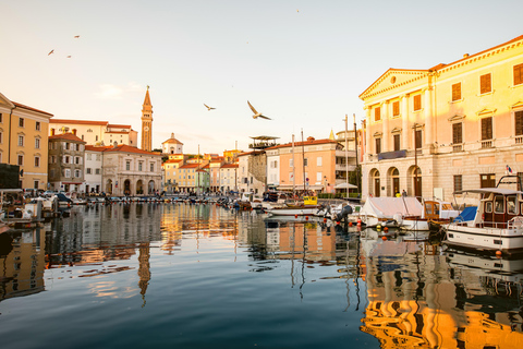 Vanuit Ljubljana: Piran met historische wandeltour