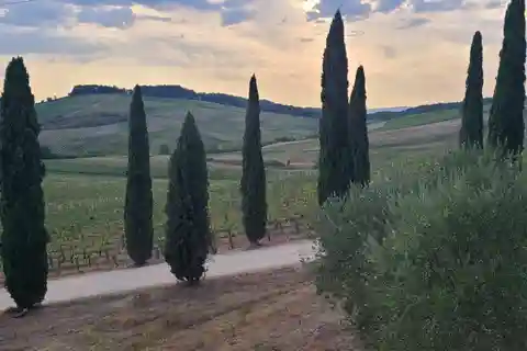 Firenze: Due degustazioni di vino in Toscana + San Gimignano