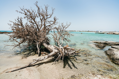 From Rethymno/Kavros: Elafonissi Pink Sand Beach Tour