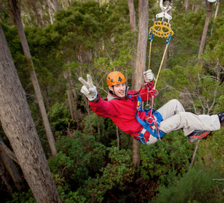 Zip Lining in Launceston