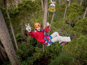 Launceston: Hollybank Forest Treetop Zip Lining with Guide
