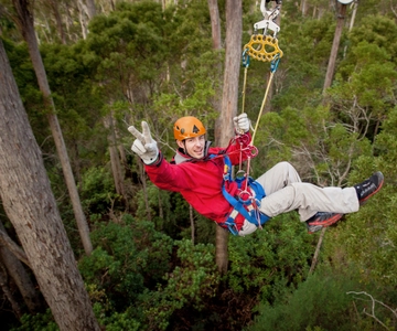 Launceston : La tyrolienne de la forêt de Hollybank avec guide