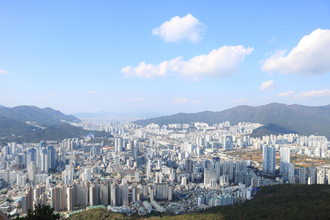 Individuelle private Busan-Tour mit lizenzierter Agentur und Guide