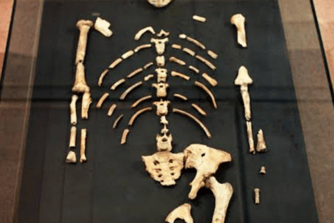 Addis Ababa: View, Park, Museum & Market Guided Walking Tour