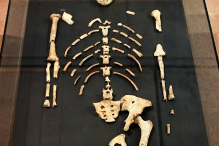 Addis Ababa: View, Park, Museum & Market Guided Walking Tour