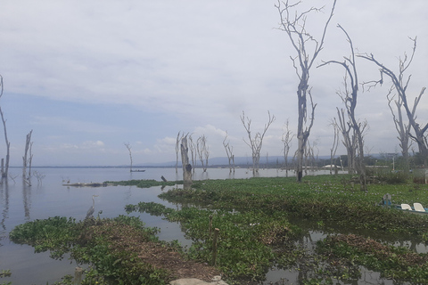 Naivasha: Lago Naivasha e Parco Nazionale Hell's GateTour del lago Naivasha e dell'Hells Gate