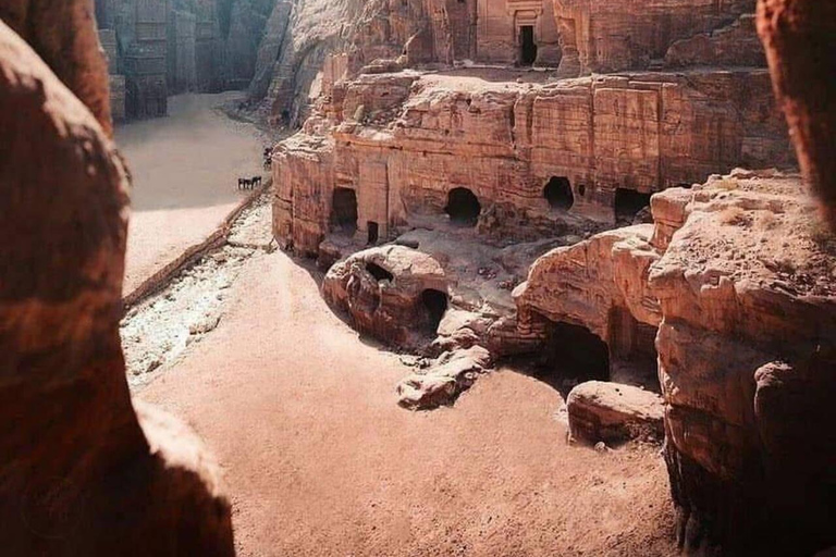 Jordan's 3 Wonders: Petra, Wadi Rum & Shobak Castle Blitz Private Tour: Transportation, 4x4 Tour & Entry tickets