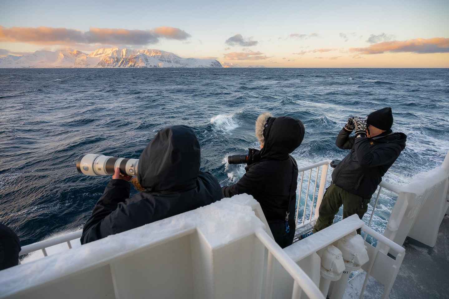 Tromsø: 24hr Northern Lights & Whale Watching Cruise