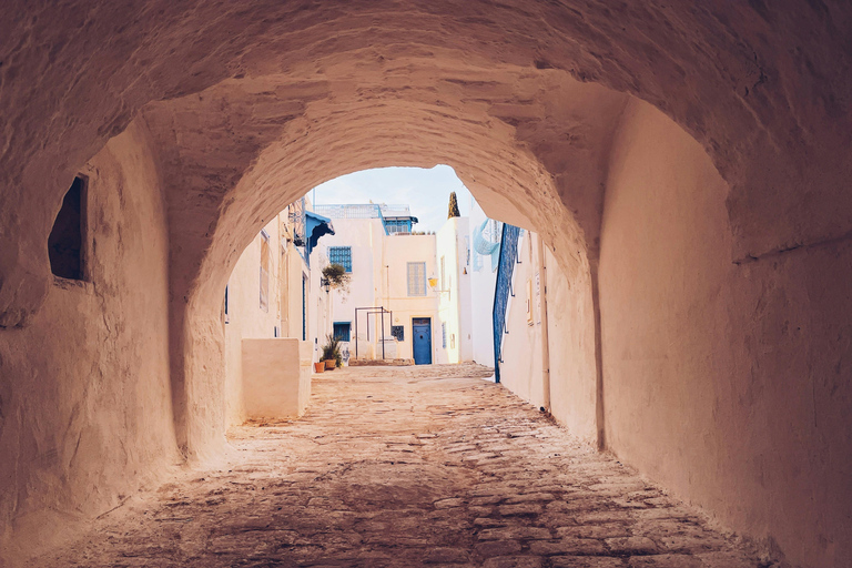 passeio em túnis, medina, marsa, carthage, halk wed, sidibousaid