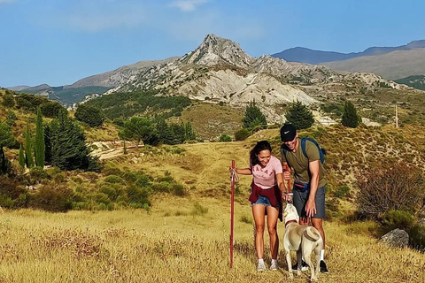 ⭐ Excursión al atardecer y cumbre de Sierra Nevada con cachorro ⭐⭐ Excursión al atardecer y cumbre de Sierra Nevada Excursión privada con cachorro ⭐