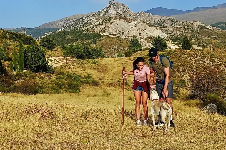 ⭐ Excursión al atardecer y cumbre de Sierra Nevada con cachorro ⭐⭐ Excursión al atardecer y cumbre de Sierra Nevada Excursión privada con cachorro ⭐
