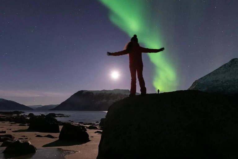 Tromsø: Northern Lights Chase by a comfortable bus