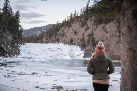 Electric Fat Biking Adventure in Banff