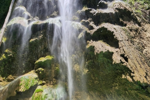 Cebu: Walhai & mysteriöser Wasserfall PrivattourSchnorcheln mit Walhai & geheimnisvolle Wasserfall-Tour