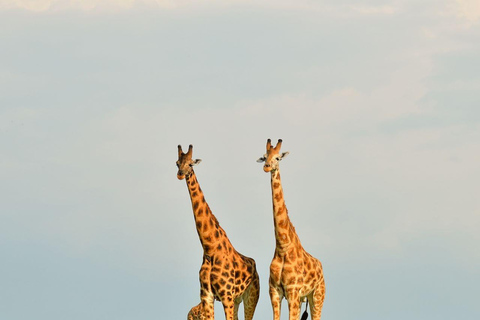 Ouganda : 3 jours de safari dans le PN de la vallée de Kidepo en Ouganda