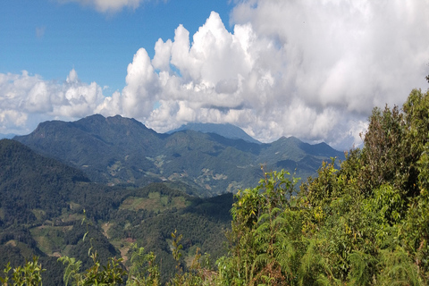 1-daagse Thaise berg Eco Trek