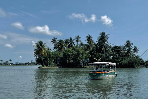 Kochi: Electric Boat Private Tour