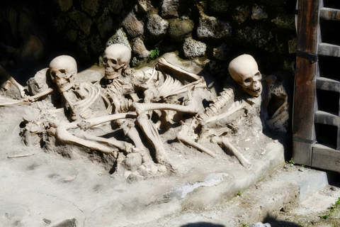 Naples: Herculaneum Skip-the-Line Guided Tour and Transfer