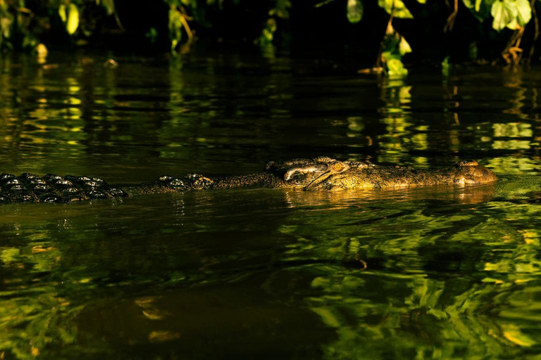 Sandakan : 3-Day Kinabatangan River Wildlife Adventure (Shared Tour) 3 Day 2 Night At Kinabatangan River
