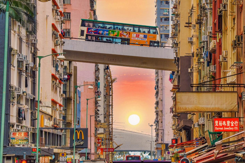 Shenzhen to Hong Kong: Skyline & Heritage Escape (Private) Guide for Spanish/Russian/German/Italian/French