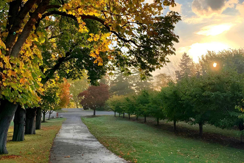 Toronto Dagsutflykt till Niagara-on-the-Lake, vingård och choklad