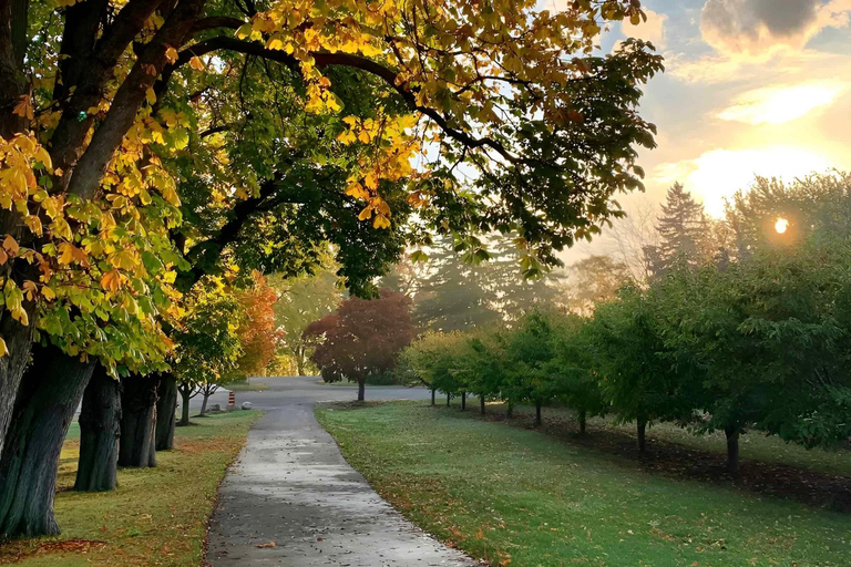 Toronto Dagsutflykt till Niagara-on-the-Lake, vingård och choklad