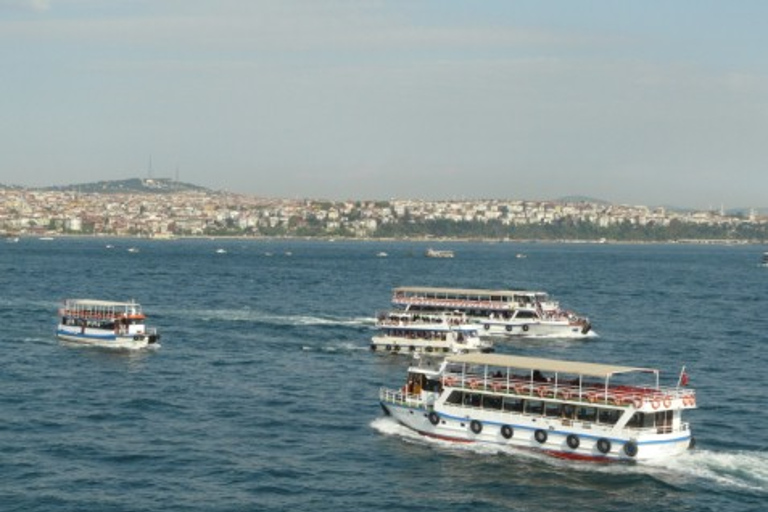 Sightseeing Bosphorus Cruise in IstanbulSightseeing Bosphorus Cruise from Istanbul