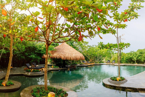 Cartagena: Day trip to Eteka Beach in TierraBomba with lunch