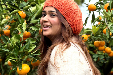 جيجو: جولة مجموعة صغيرة مع قطف الكاميليا واليوسفي