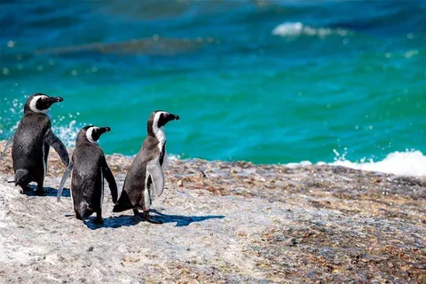 Tour + Hotel || Lima-Cusco, Machu Picchu, Humantay Lake ||6D