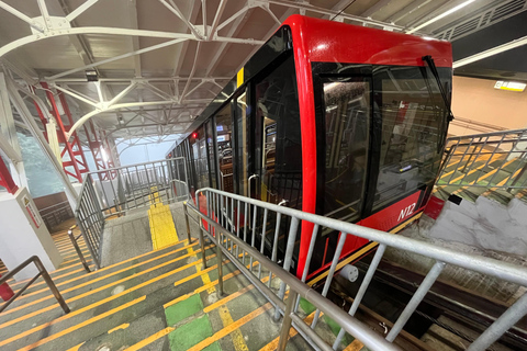 Mount Koya: Full-Day Private Guided Tour from Osaka