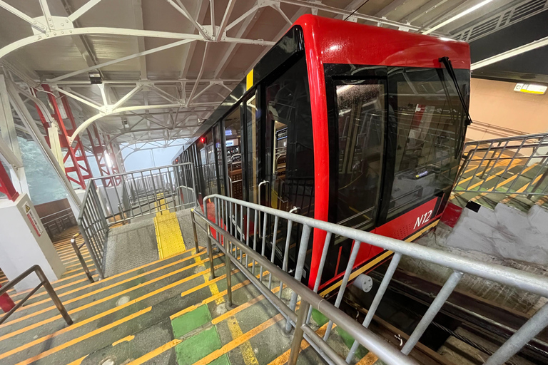 Mount Koya: Full-Day Private Guided Tour from Osaka