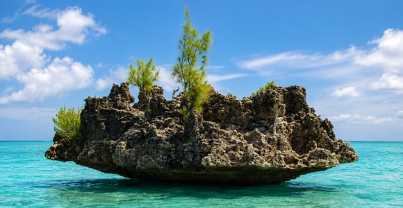 Mauritius: Benitier Island - Swim Dolphins - Speedboat & BBQ