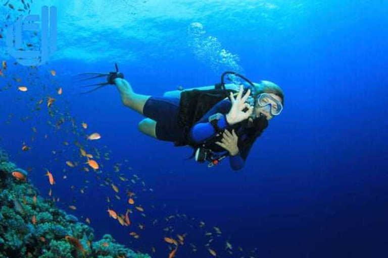 Da Nang: Escursione in barca sull&#039;isola di Cham con snorkeling e pranzo