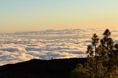 VIP Teide Sunset & Stargazing Tour with Hotel Pick-up