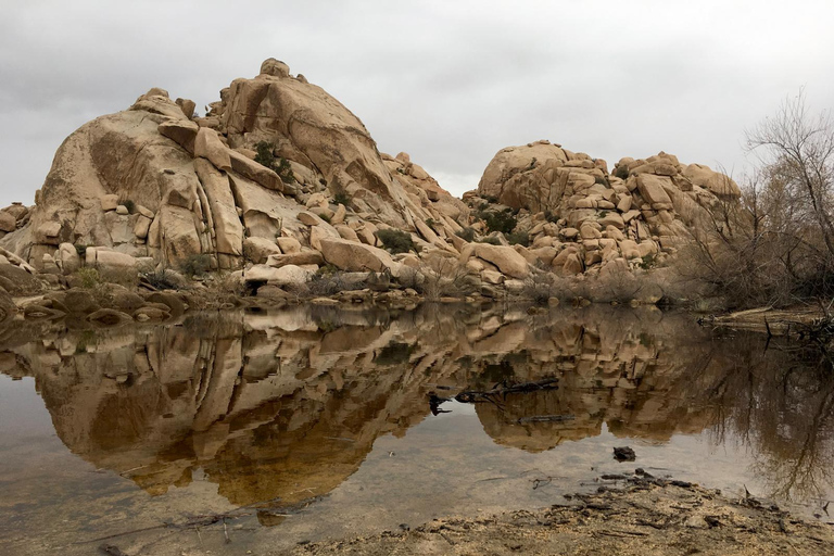 Von San Diego aus: 2-tägige Erkundung und Wanderung in Joshua Tree