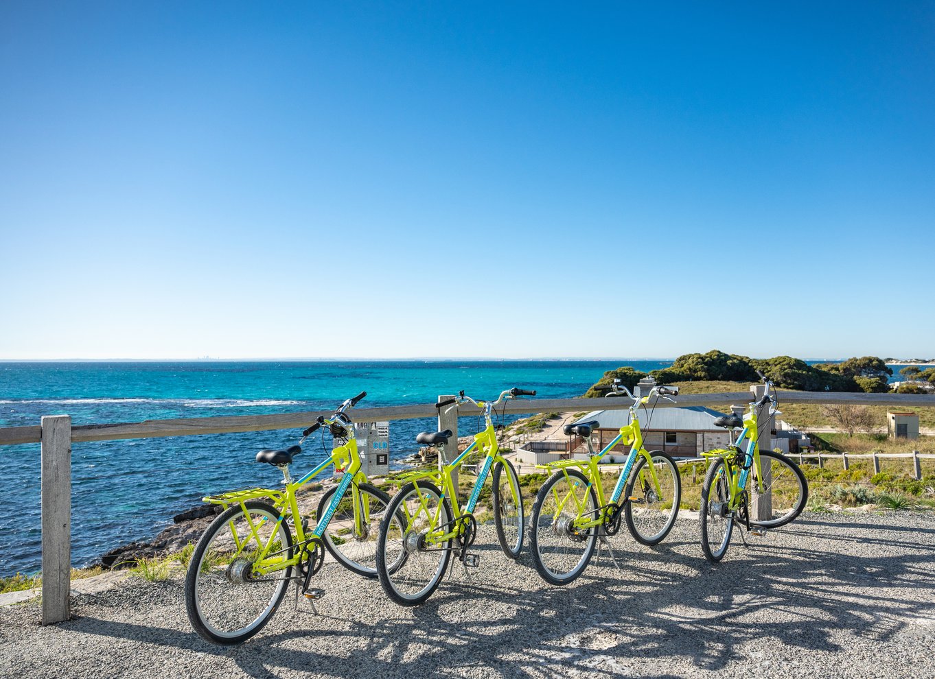 Fra Perth: Rottnest Island heldags cykel- og færgetur