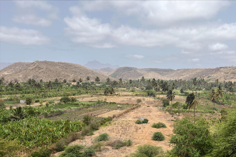 Poznaj największą plantację bananów na Cabo Verde