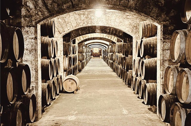 Visit Palma Distillery Tour with 6 Spirits and Tapas Tasting in Palma de Mallorca