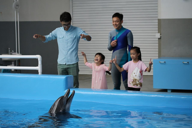 Hong Kong: Ocean Park Meet the Dolphin Unique Experience