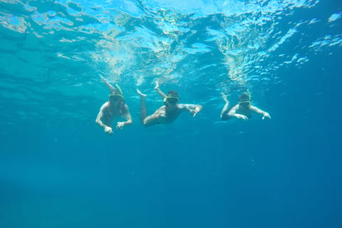 Rio: Tijuca Islands Snorkeling or Whale Watching Boat Tour