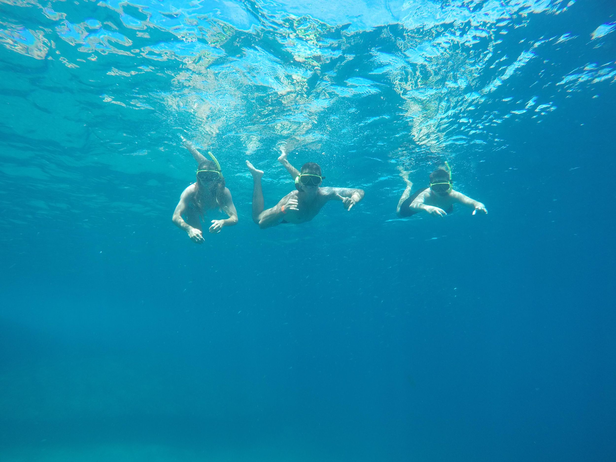 Rio: Tijuca-Inseln – Schnorcheln & Whale-Watching-Boostour