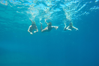 Rio: Snorkel & Swim with Turtles Tour at Tijuca Islands