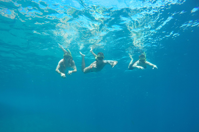 Rio: Schnorcheln & Schwimmen mit Schildkröten Tour auf den Tijuca Inseln3 Stunden Schnorcheln und Schwimmen mit Schildkröten Tour auf den Tijuca Inseln