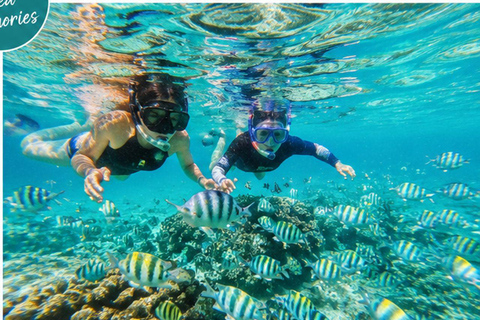 Mauritius North Undersea Walk – Step Into a Living Aquarium