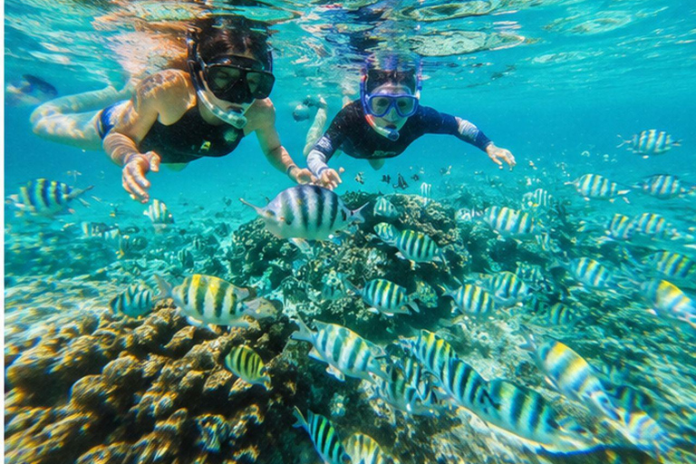Mauritius North Undersea Walk – Step Into a Living Aquarium