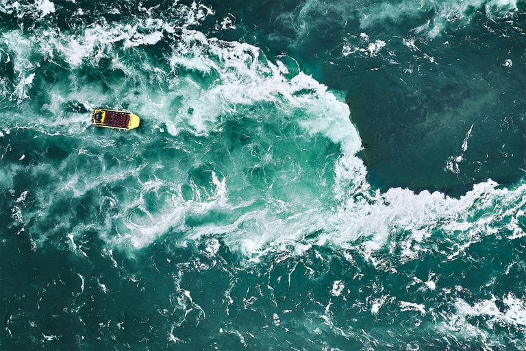 Montreal: Lachine Rapids Sightseeing Tour Montreal: Panorama Sightseeing Tour & Lachine Rapids