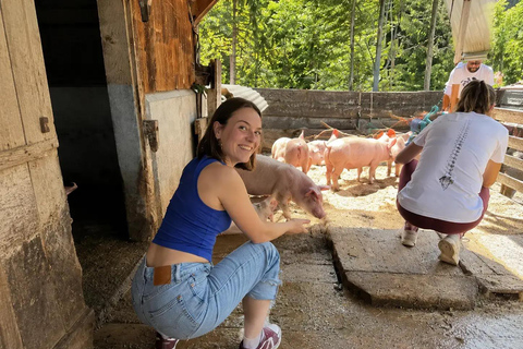 Interlaken: Farm Tour with Swiss Breakfast & Cheese Making